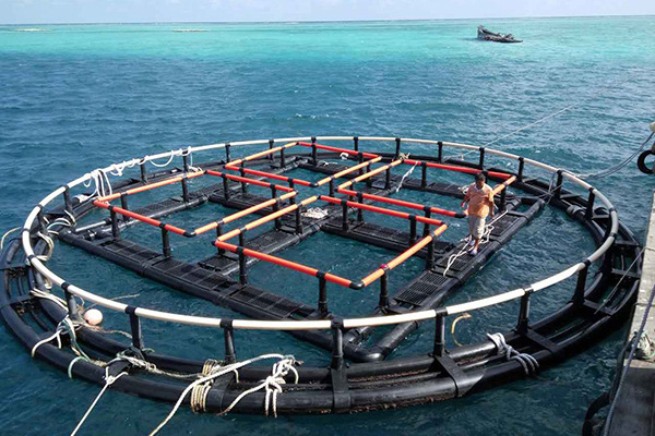 宜昌深海奇跡、水下牧場(chǎng)：探索深海養(yǎng)魚(yú)網(wǎng)箱在水產(chǎn)養(yǎng)殖中的新可能